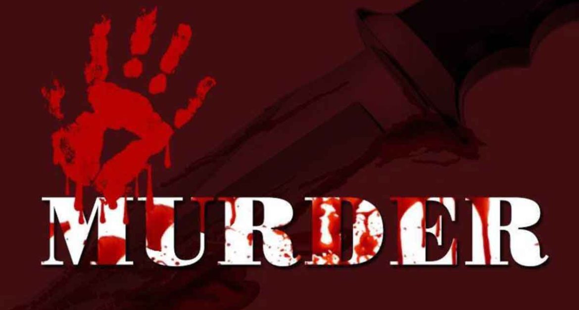 The Anatomy of Murder: Legal Perspectives and Case Studies