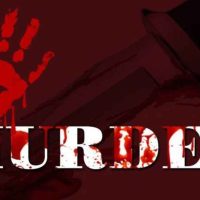 The Anatomy of Murder: Legal Perspectives and Case Studies