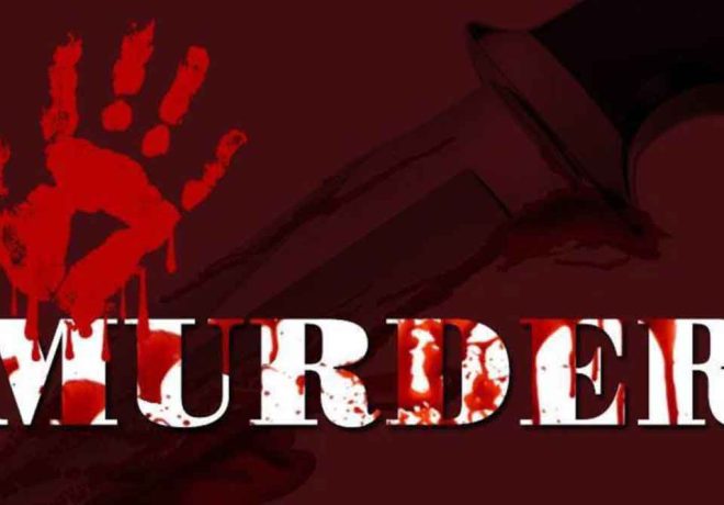 The Anatomy of Murder: Legal Perspectives and Case Studies